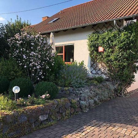 Ferienwohnung Auszeit Losheim am See Exterior foto